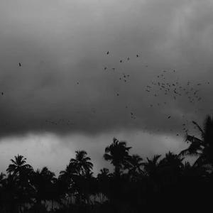 一区二区三区www污污污网站
