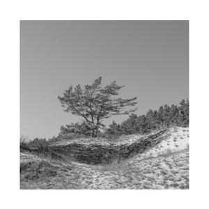 一区二区三区www污污污网站
